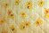 Матрас Promtex Biba Cocos Strutto Plus Матрас Promtex Biba Cocos Strutto Plus